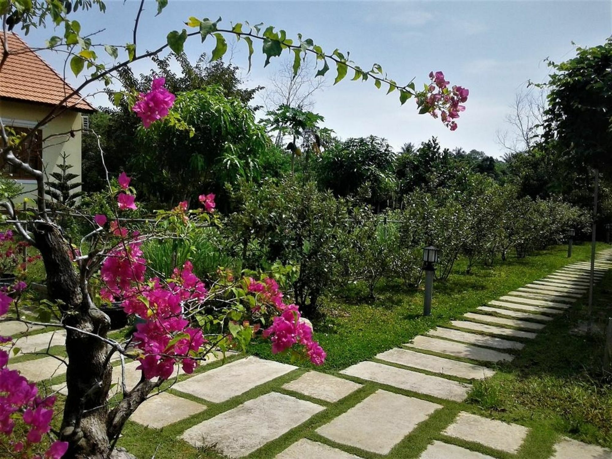 Spring Garden Homestay Фукуок Екстер'єр фото